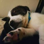 Robert Proffitt jr - @robertproffittjr - Instagram