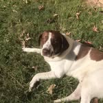 Robert Provance - @robert.provance.319 - Instagram
