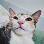 Robert - @robert.proxy - Instagram