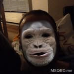 RobertPrucha - @robertprucha - Instagram
