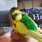 Robert Prüßing - @robertpruessing - Instagram