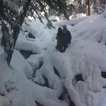 Robert Pulson - @robert.pulson.98 - Instagram