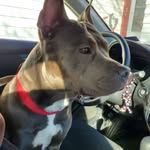 Robert Purdie - @robert.purdie.501 - Instagram