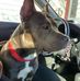 Robert Purdie - Facebook