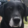robertpurdie369 - @robertpurdie369 - TikTok