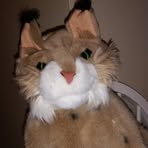 Bob Cat Pusateri - Facebook