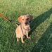 Bob Quarterman - Facebook