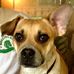 Bob Quigg - Facebook