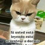 Robert Quintanilla - @robert.quintanilla.9619 - Instagram