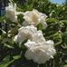 Bob Radosevich - Facebook