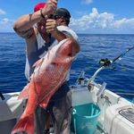 Robert Raimondo - @raimondorobert - Instagram