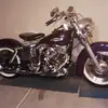 Robert Raimondo - @robert.raimondo - TikTok