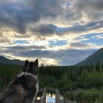 Robert Mario Ramilo - @rnr.n.alaska - Instagram