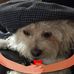 Robert Randlett - Facebook