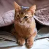 Robert J Ranson - @robert.j.ranson - TikTok