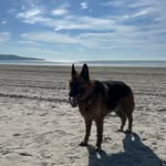 Robert Ranson - @robbie_ranson52 - Instagram
