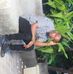 Roby Robert Robson - Facebook