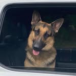 Robert Rasberry - @rasberryrobert - Instagram