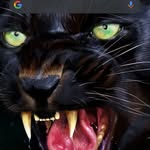 Robert Rasberry - @robert.rasberry.3910 - Instagram