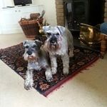 Robert Ratcliffe - @ratcliffe6951 - Instagram