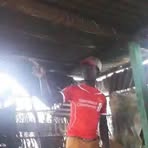 Robert Ruto - Facebook