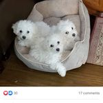 Robert Rawls - @robert.rawls.735 - Instagram