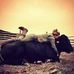 Robert Rawls Livestock - Facebook