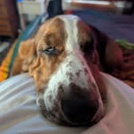 Robert Rawson - @brawson53 - Instagram