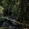 Robert_Ready - @robert_ready - TikTok