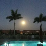 Robert Rector - @winebob11 - Instagram