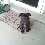 Robert Rector - @rrector25 - Instagram