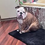 Robert Reesman Jr. - @smokereesman - Instagram
