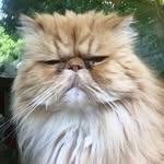 Robert Reiche - @robert.reiche2 - Instagram