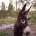 Chops Robert Reichle - Facebook