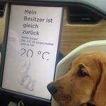 Robert Reidy - @robert.reidy - Instagram