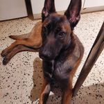Remy Michelle - @robert.remy.7165 - Instagram