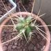 Robert Remy - Facebook