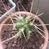 Robert Remy - @robert.remy4 - TikTok
