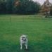 Robert Rennell - Facebook