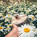 Robert Repka - @robert_repka - Instagram