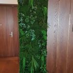 Robert Repka - @robert.repka.184 - Instagram