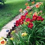 Sarah Roberts Rexroat - @sarahrobertsrexroat - Instagram