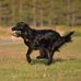 Bob Reyburn - Facebook