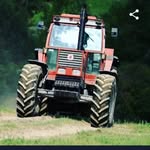 Riccardo Roberto - @roberto.riccardo - Instagram
