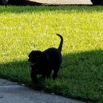 Robert Ricks - @robert.ricks.14811 - Instagram