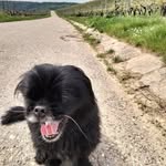 Robert Ried - @riedrobert447 - Instagram