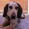 robertriederer632 - @robertriederer632 - TikTok