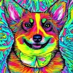Robert Rietveld - @rlrietveld - Instagram