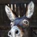 Robert Riffel - Facebook