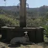 robertrigal - @robertrigal - TikTok